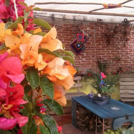 Hostal Nahui Ollin San Cristóbal de Las Casas Eksteriør bilde