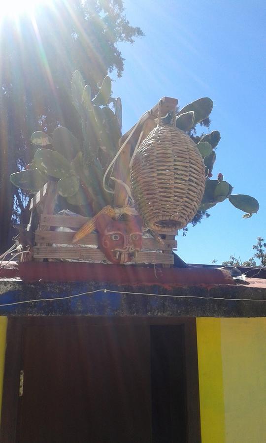 Hostal Nahui Ollin San Cristóbal de Las Casas Eksteriør bilde
