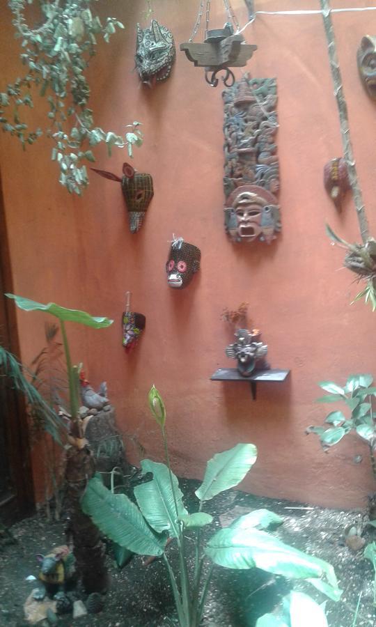 Hostal Nahui Ollin San Cristóbal de Las Casas Eksteriør bilde