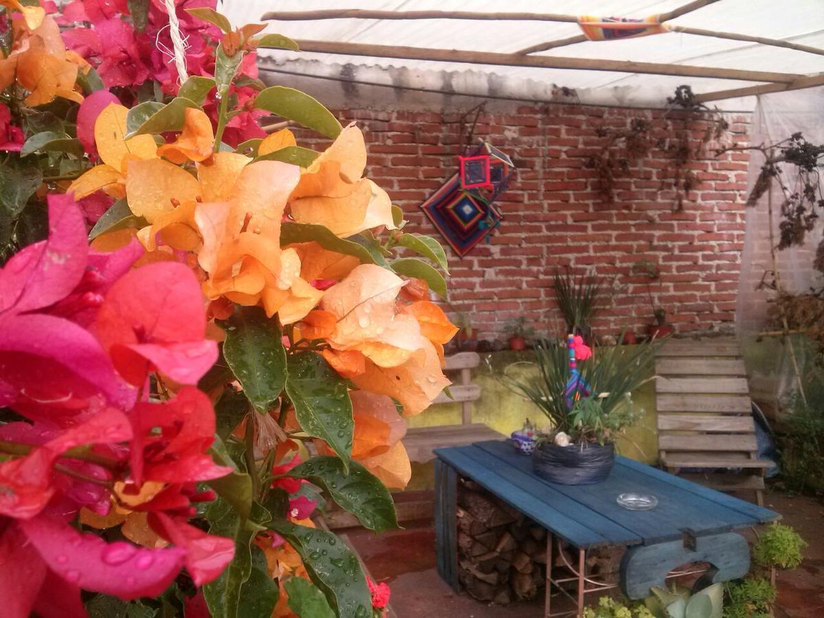 Hostal Nahui Ollin San Cristóbal de Las Casas Eksteriør bilde